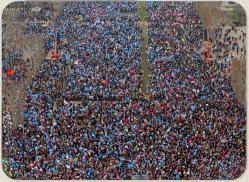 demonstrators-gay-adoption-procreation-42