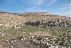img430796