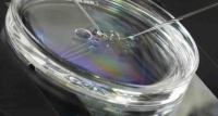 thumb_in_vitro_3