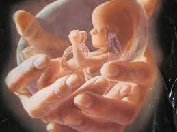 pro-life_prayer