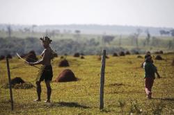 1_0_805974