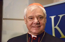 155033_muller_7