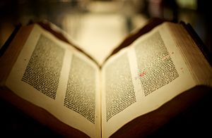 5e59ec9-bible300