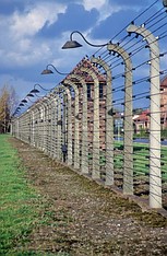 auschitz