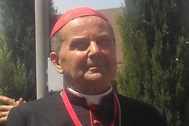 519779_pxcarlo_caffarra_madrid_2011_7