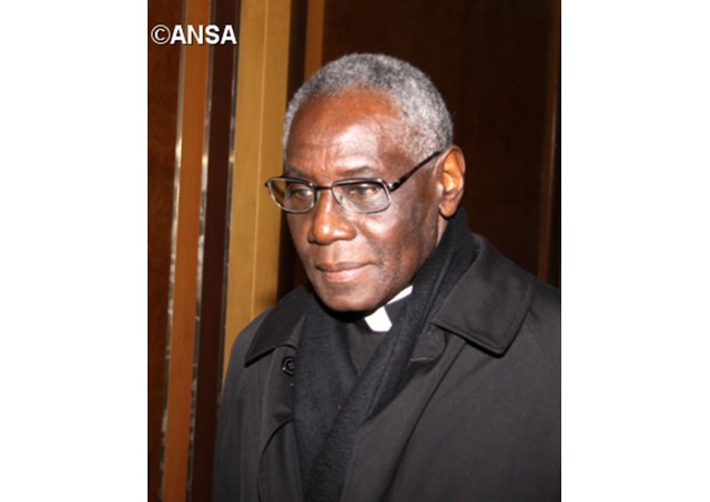 ansa481546_articolo