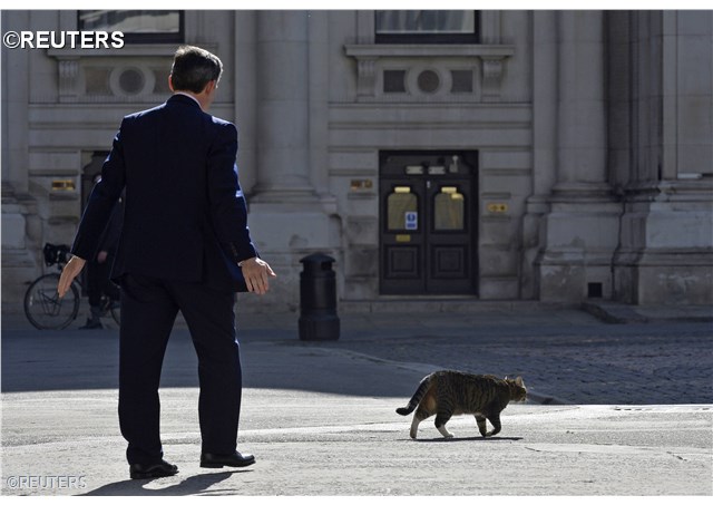 reuters352593_articolo