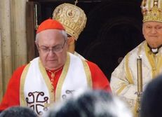1553796_articolo