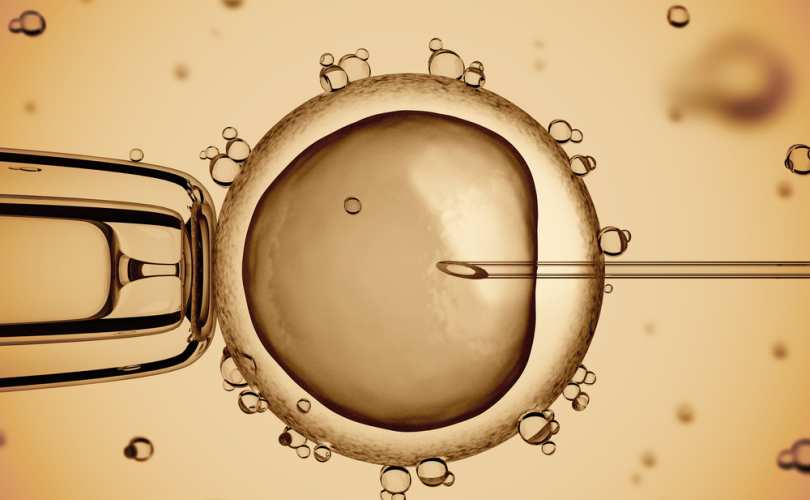 artificial_insemination_810_500_55_s_c1