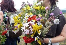rv8839_articolo