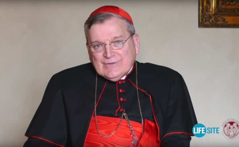 cardinal_burke_interview_810_500_55_s_c1