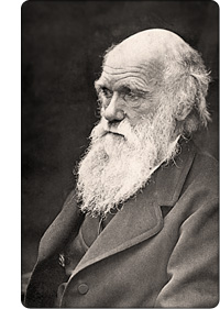 darwin-portret