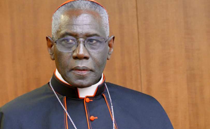 robert_sarah_synod_810_500_55_s_c1
