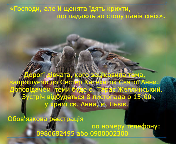 68135507_9801802