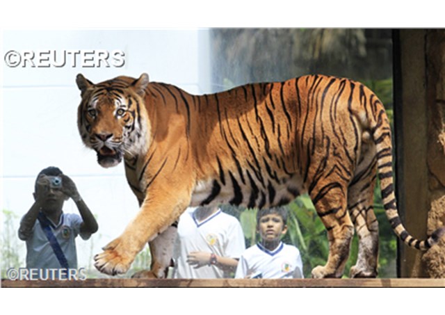 reuters215690_articolo