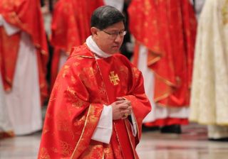 tagle-320x224