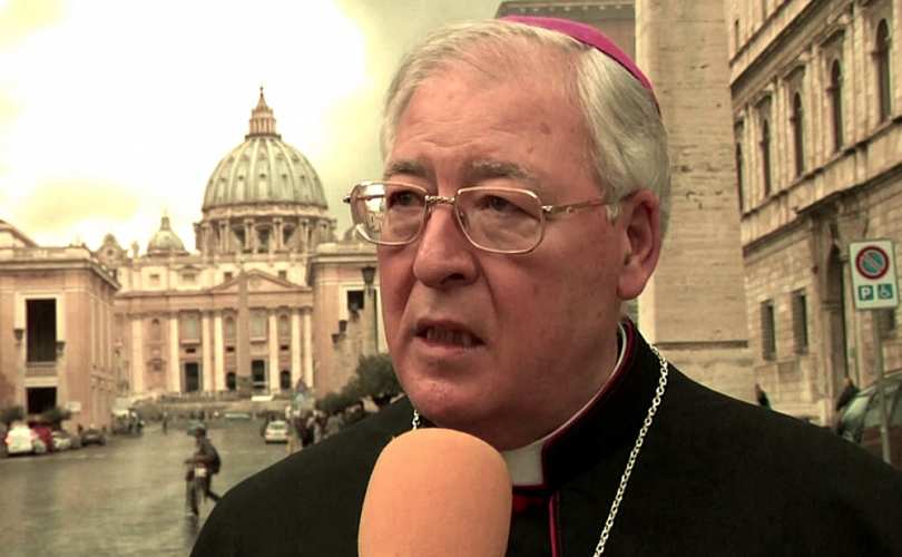 bishop_reig_pla_810_500_55_s_c1