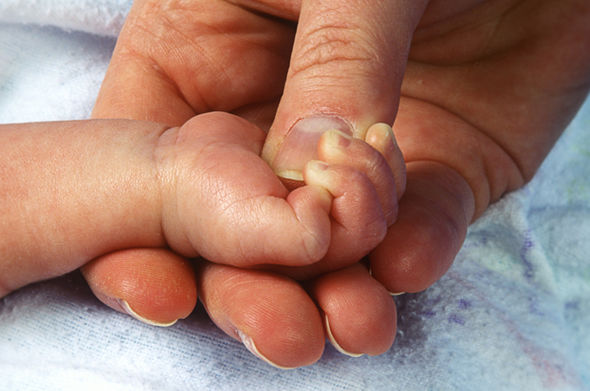 babies-483299