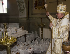 img_5222_1-300x230