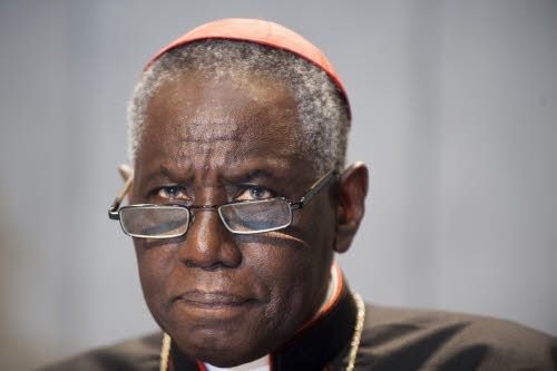 le-cardinal-robert-sarah-nouveau-prefet-congregation-pour-culte-divin_0_730_333_8716610