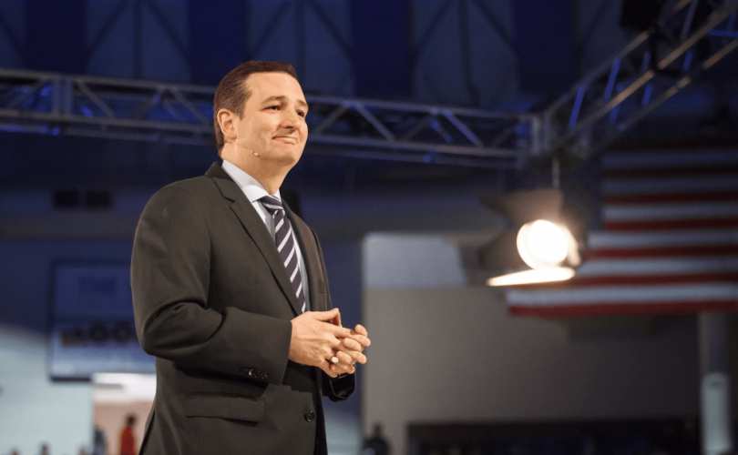 cruz_810_500_55_s_c1