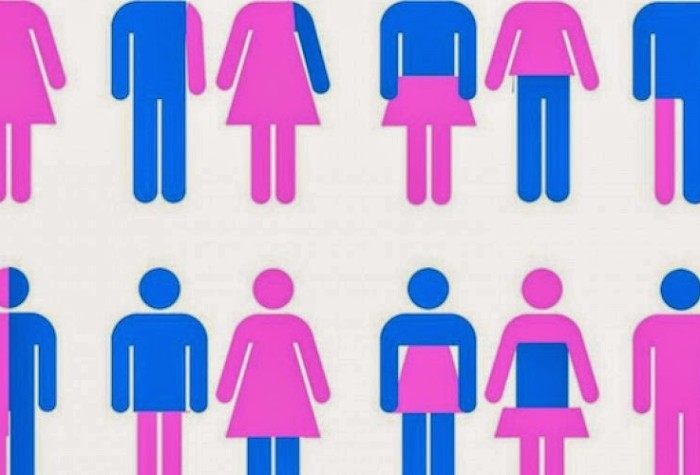 gender-ideology-700x475