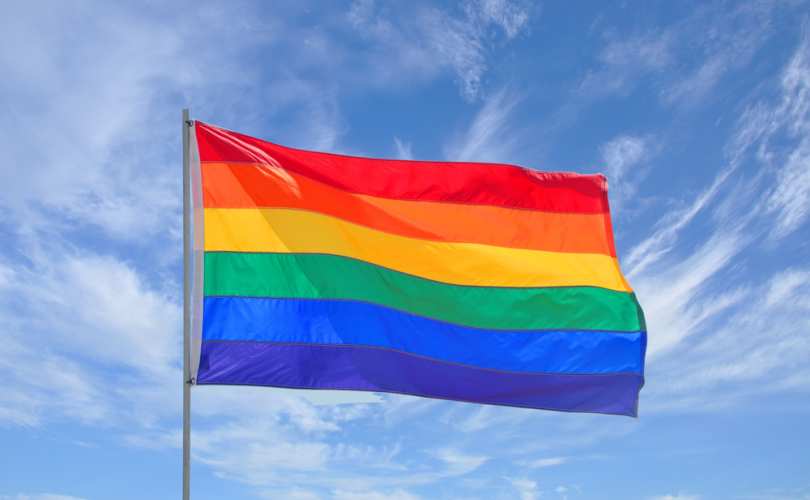 oas_pride_flag_810_500_55_s_c1