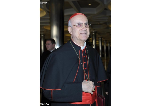 ansa789215_articolo