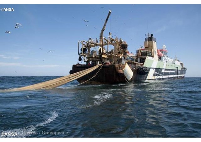 ansa687266_articolo