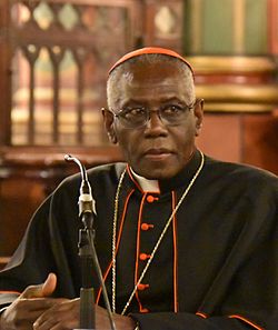cardinal_robert_sarah_cropped