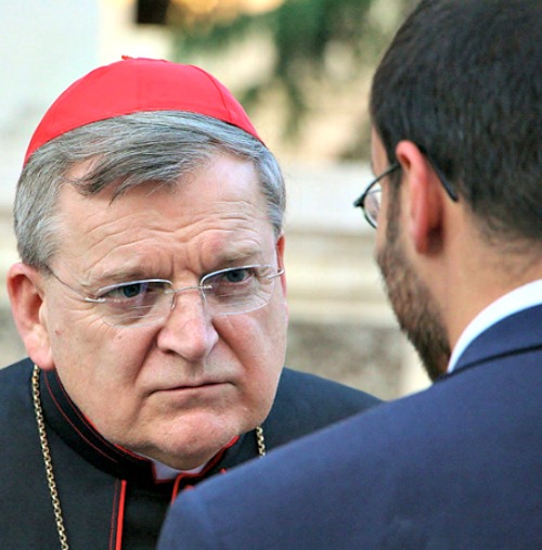 cardinalburkeamoris