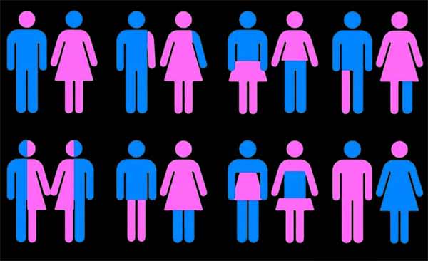 gender-theory