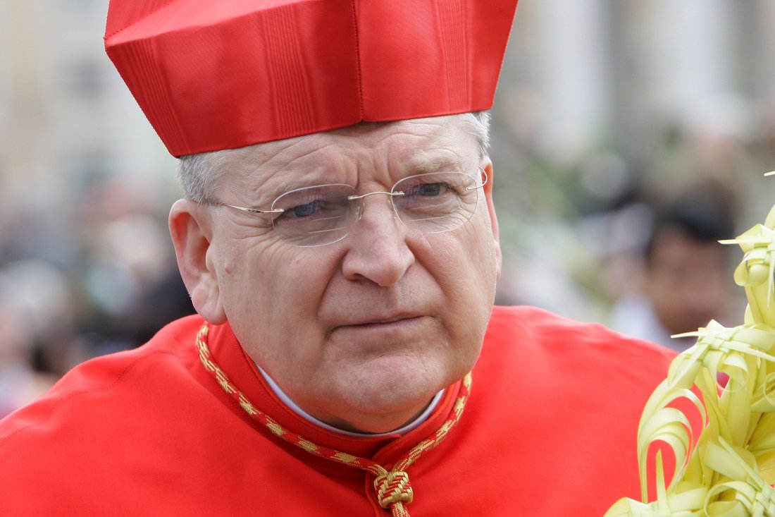 raymond-burke-pope