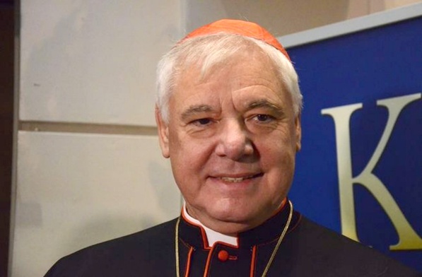 155033_muller_54