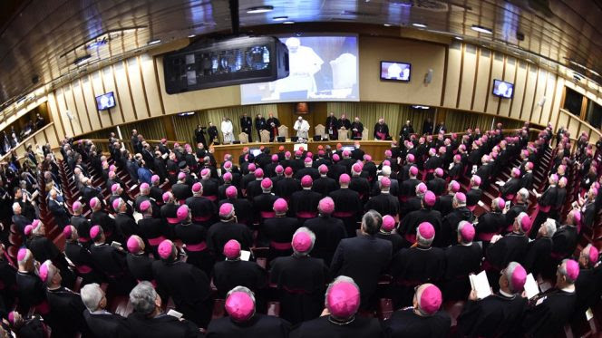 papa-francesco-assemblea-generale-664x373