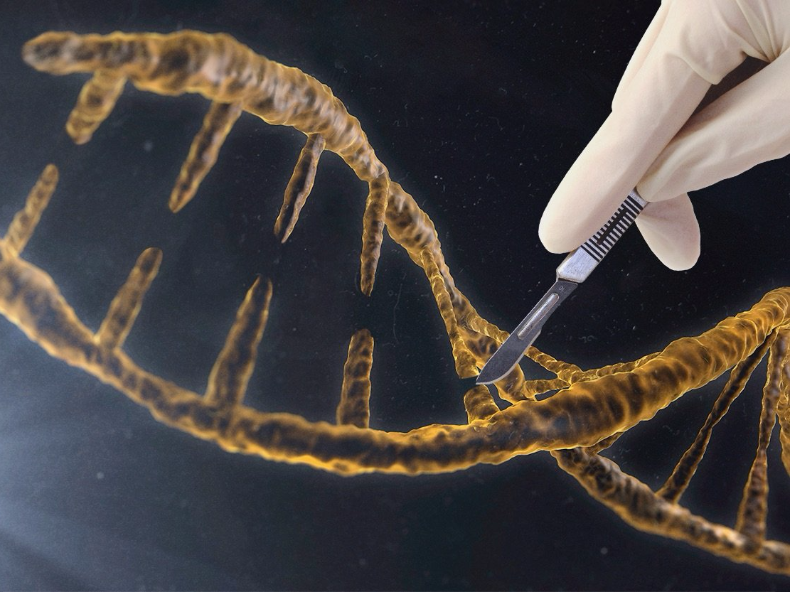 scientists-in-the-uk-could-win-approval-to-genetically-modify-human-embryos