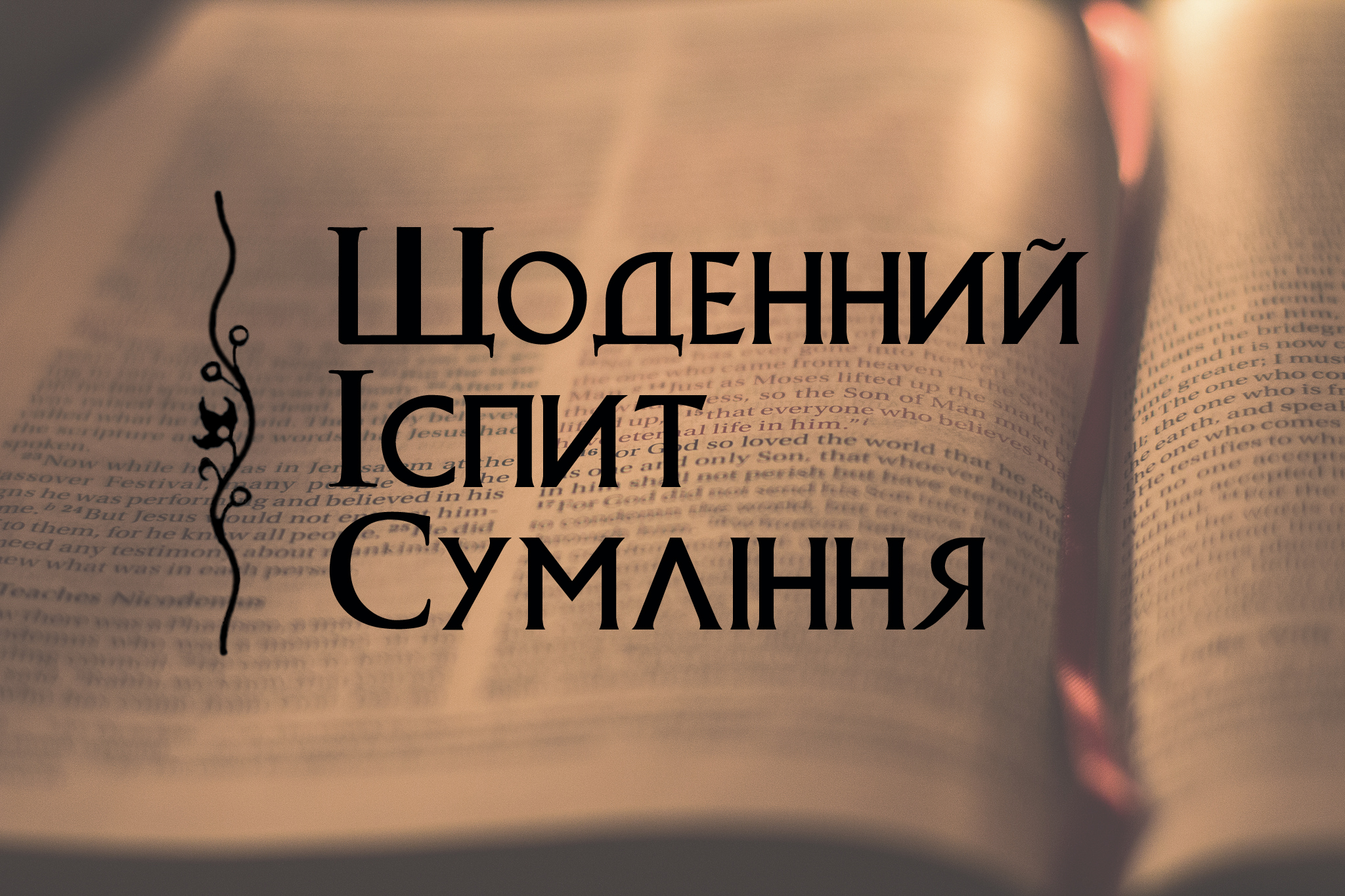 daily_exam