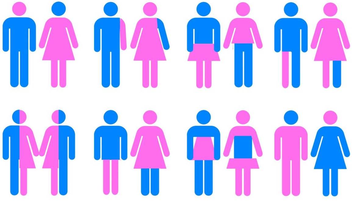 gender