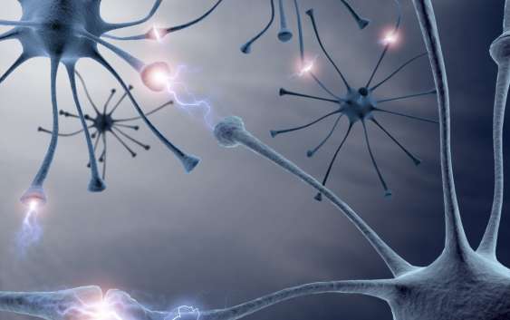 neuro-controlling-ii-563x353