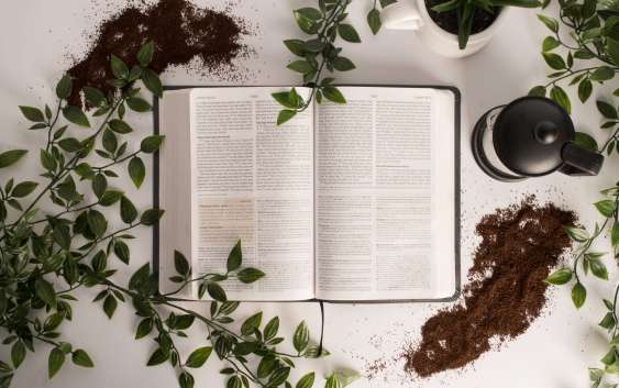 shelby-miller-640804-unsplash-563x353