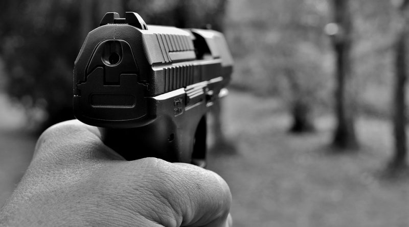 pistol-2948729_960_720-800x445