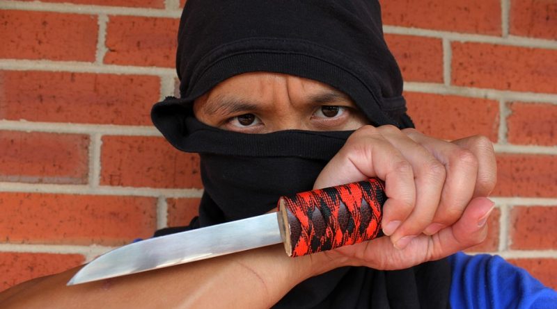 ninja-877220_960_720-800x445