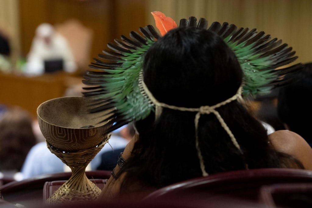 20191008t1210-30842-cns-synod-environment-inculturation