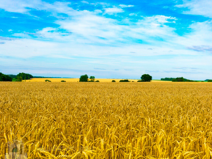 ukraine