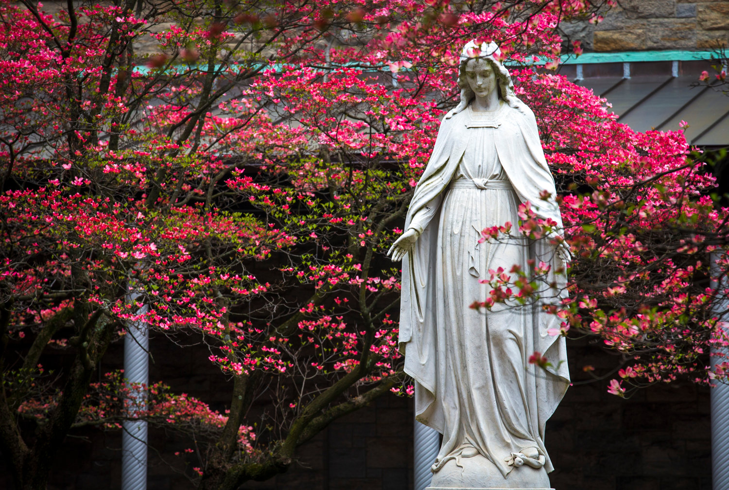 20200423-134256-20200423t1109-472-cns-us-canada-consecrate-mary