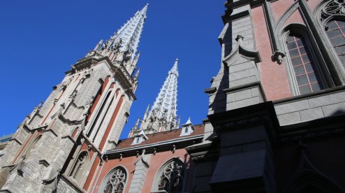 1653550081_img_5206sm