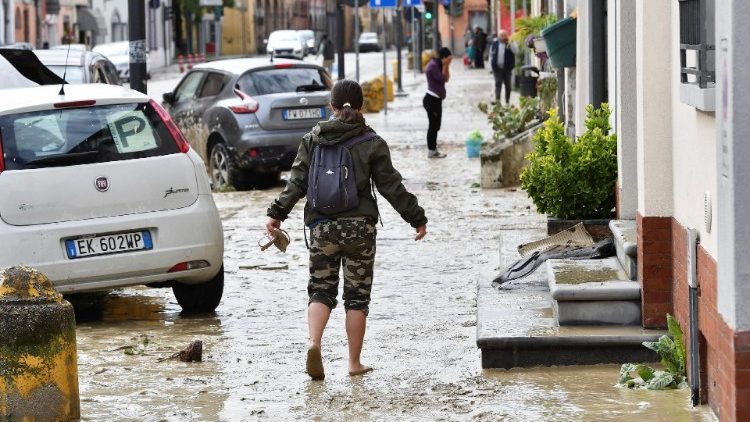cq5dam