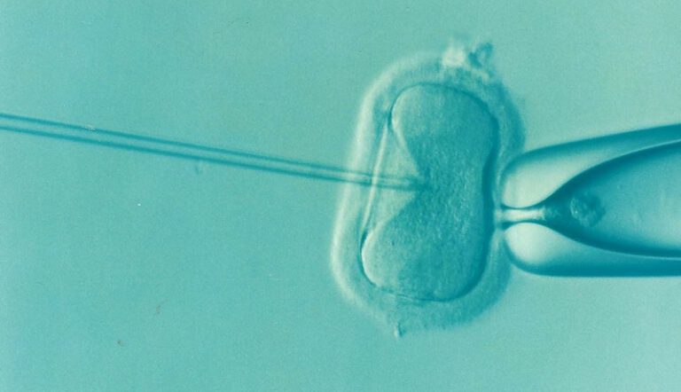 invitro-768x442