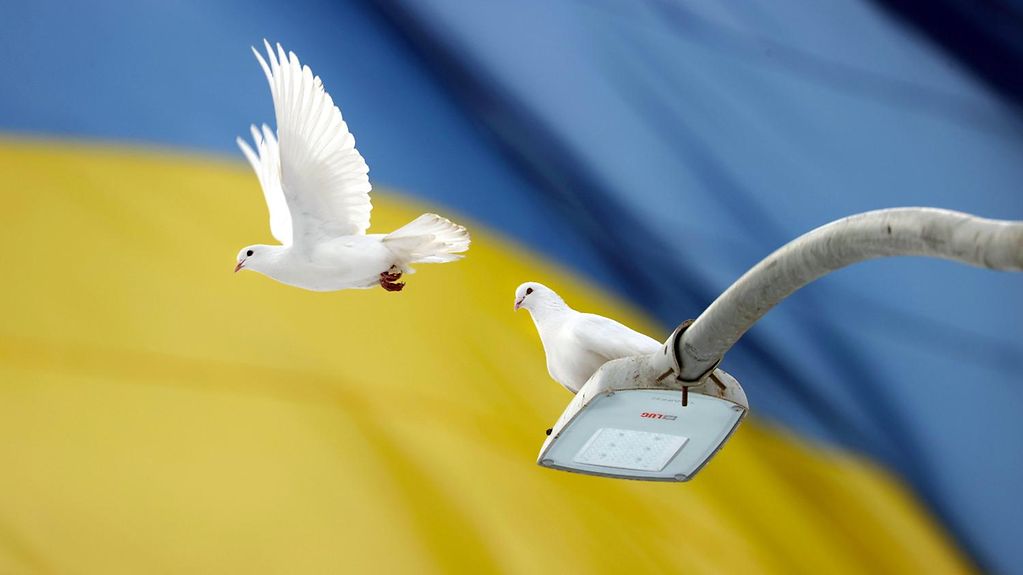 2022-10-17-tauben-ukraine