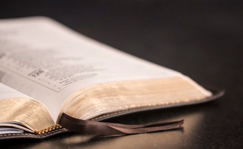 bible_table